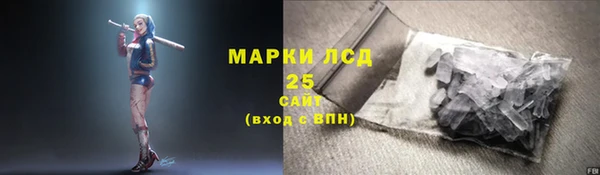 прущие грибы Алзамай