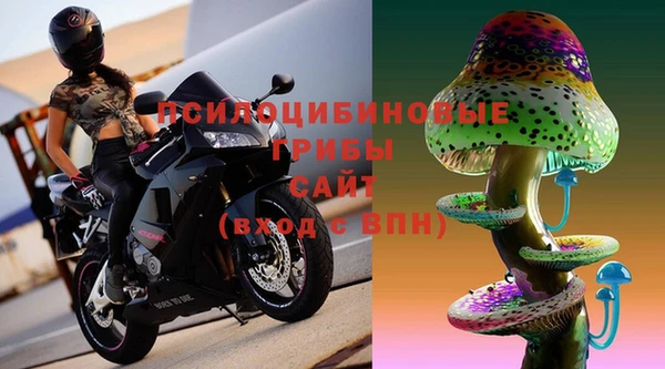 ешки Алексеевка