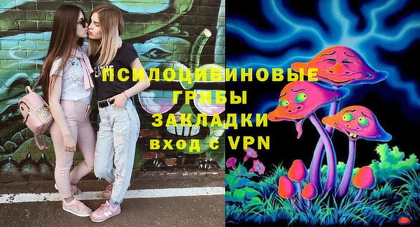ешки Алексеевка