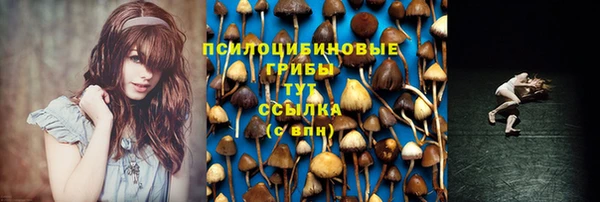 прущие грибы Алзамай