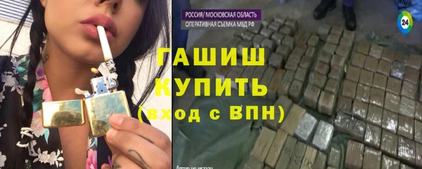прущие грибы Алзамай
