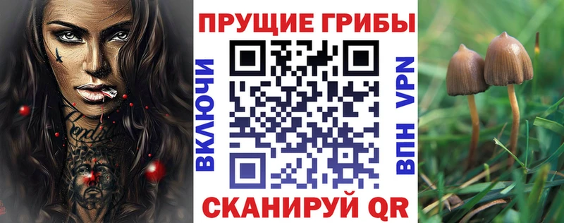 продажа наркотиков  Углич  ссылка на мегу онион  Псилоцибиновые грибы мицелий 