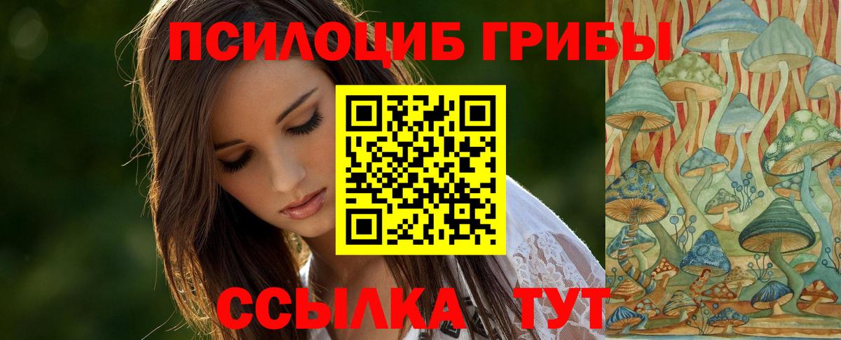 Галлюциногенные грибы Cubensis Углич